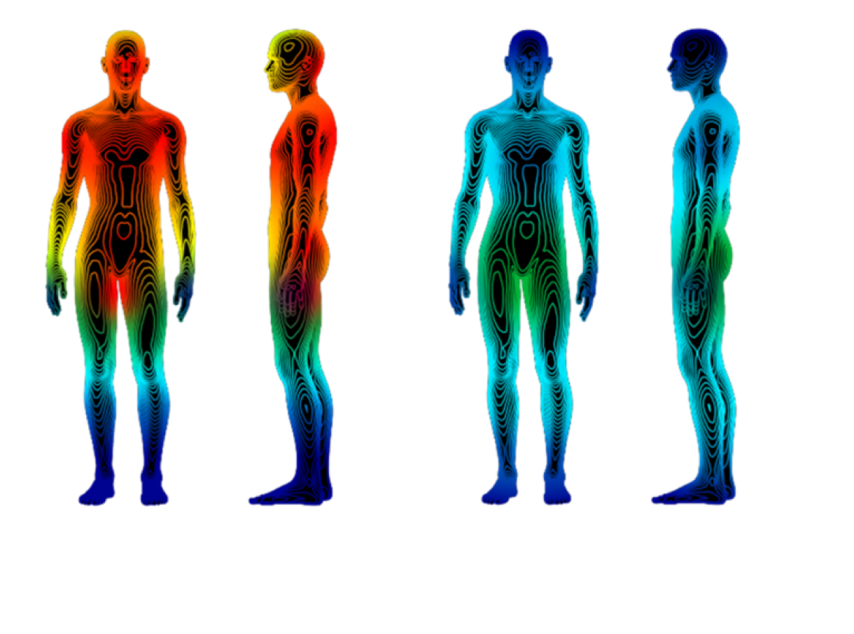 Normal body temperature